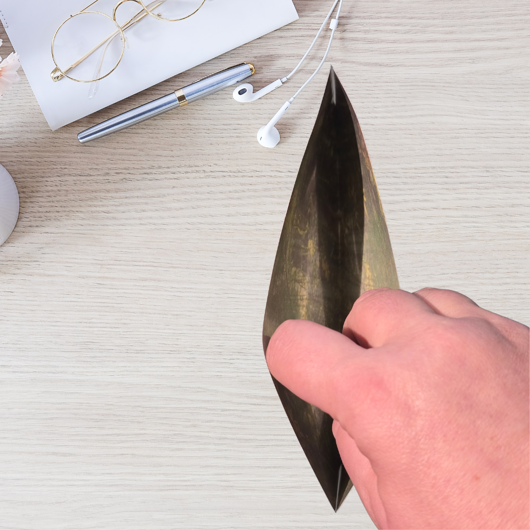 Sinking Funds Hülle schwarzer Panther